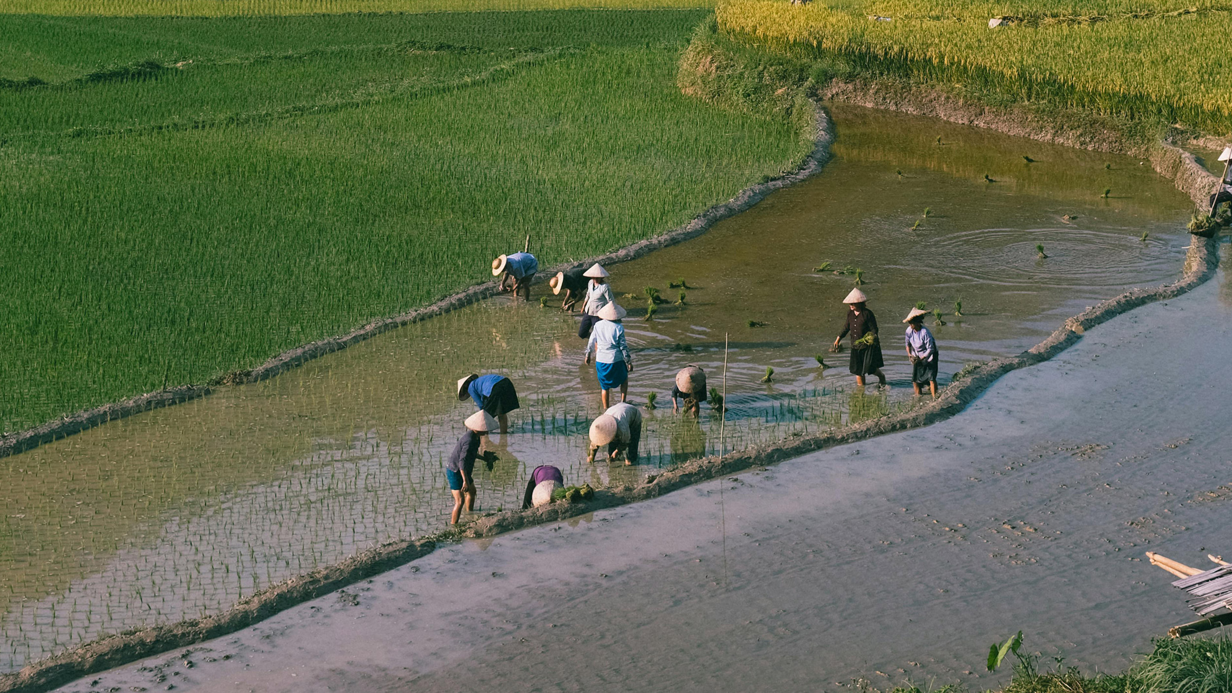釀造好日文化有限公司