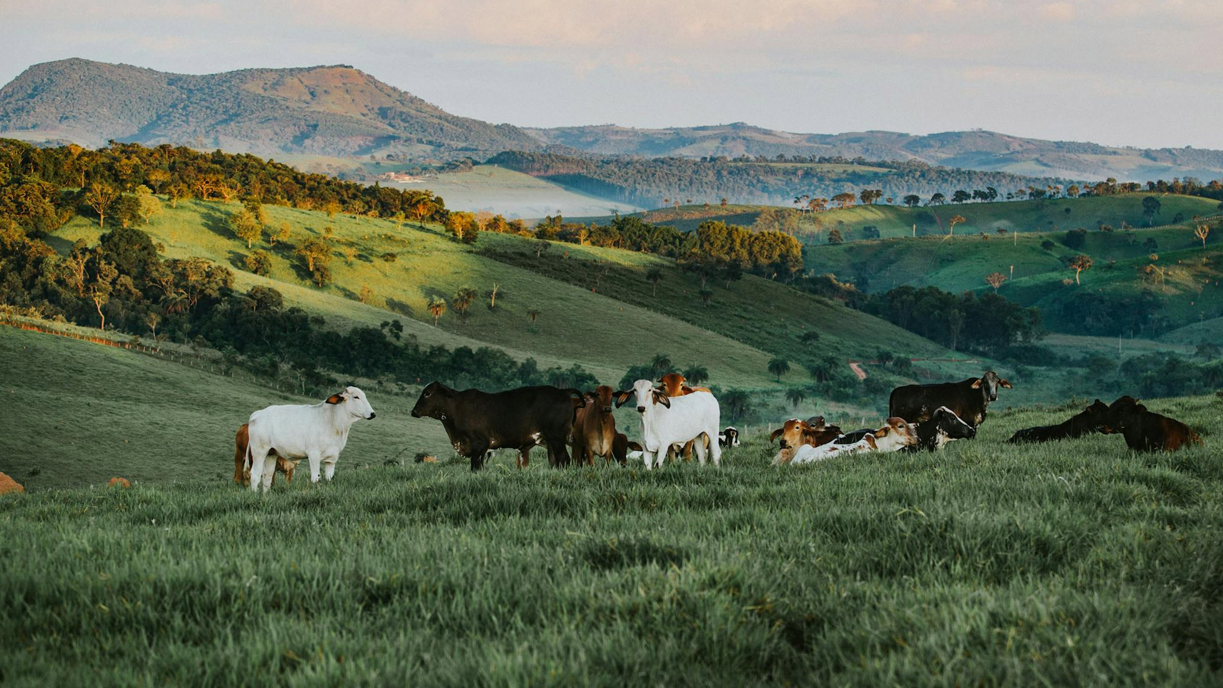 釀造好日文化有限公司